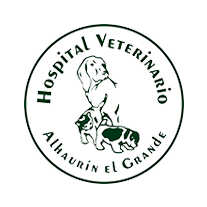 Hospital Veterinario